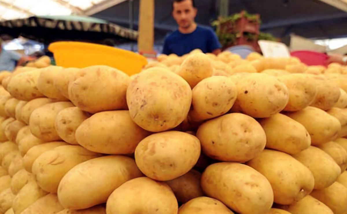  U.S. potato exports recover in Marketing Year 2020/21