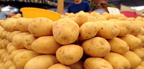  U.S. potato exports recover in Marketing Year 2020/21
