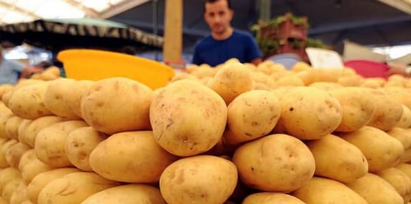  U.S. potato exports recover in Marketing Year 2020/21