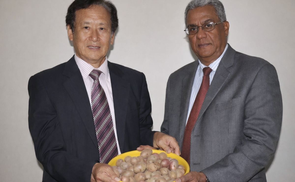 El doctor Ju Hyeon Choi, director del Centro Kopia RD de la cooperación coreana en el país, entrega la variedad de papa al ingeniero Rafael Pérez Duvergé, director ejecutivo del IDIAF.