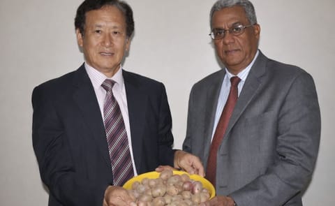 El doctor Ju Hyeon Choi, director del Centro Kopia RD de la cooperación coreana en el país, entrega la variedad de papa al ingeniero Rafael Pérez Duvergé, director ejecutivo del IDIAF. El doctor Ju Hyeon Choi, director del Centro Kopia RD de la cooperación coreana en el país, entrega la variedad de papa al ingeniero Rafael Pérez Duvergé, director ejecutivo del IDIAF.