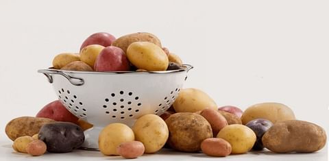  USDA appoints new board members for Potatoes USA