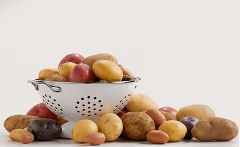 USDA appoints new board members for Potatoes USA USDA appoints new board members for Potatoes USA