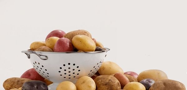  USDA appoints new board members for Potatoes USA