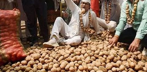 Uttar Pradesh Farmers hand out Potatoes for Free in Delhi to protest low prices