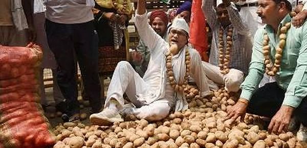 Uttar Pradesh Farmers hand out Potatoes for Free in Delhi to protest low prices