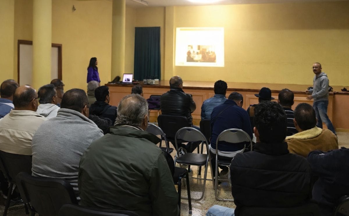 España: Utilizan una avispa para tratar de controlar la polilla guatemalteca España: Utilizan una avispa para tratar de controlar la polilla guatemalteca