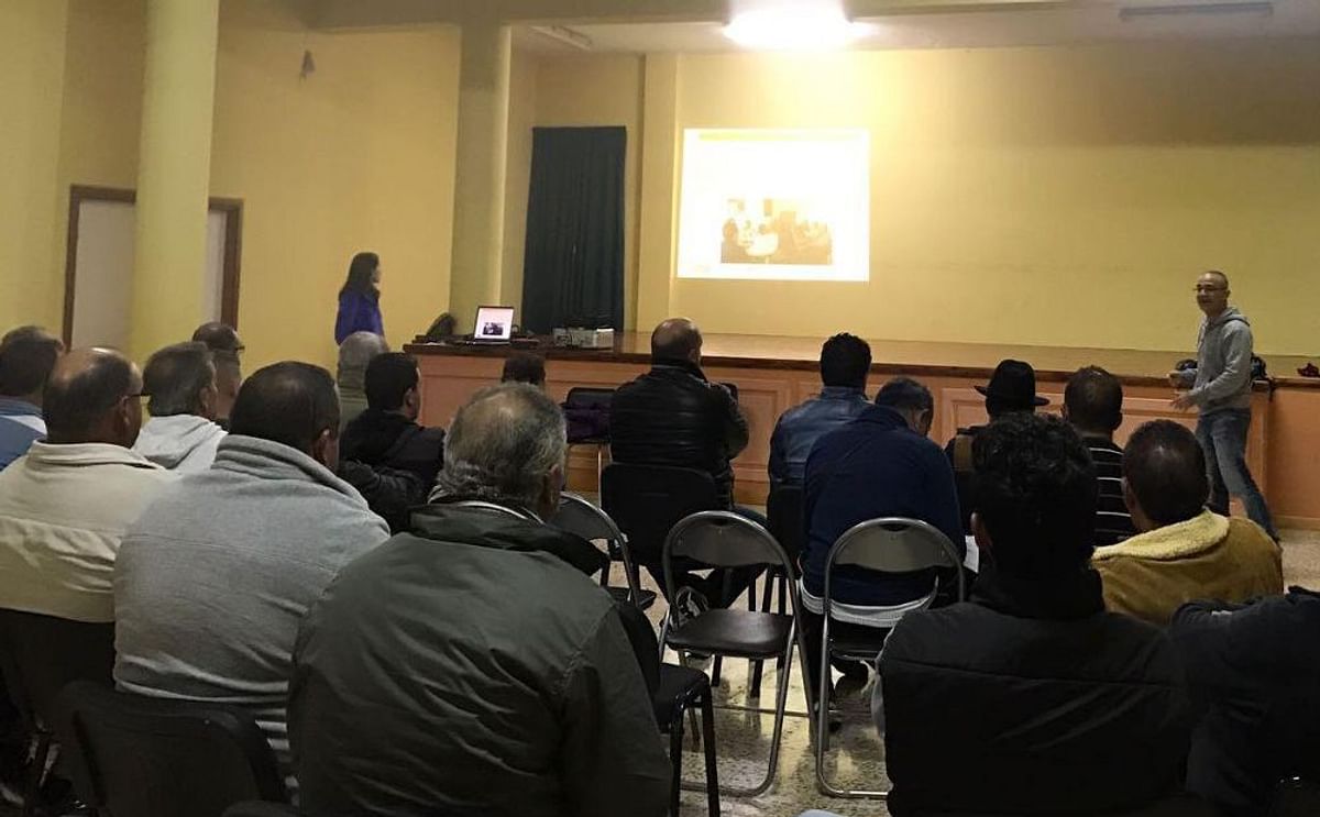 España: Utilizan una avispa para tratar de controlar la polilla guatemalteca España: Utilizan una avispa para tratar de controlar la polilla guatemalteca