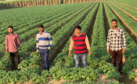 Utkal Tubers - Potato Seeds Company with Ambitious Plans Utkal Tubers - Potato Seeds Company with Ambitious Plans