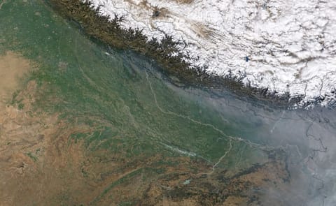 Uttar Pradesh government is looking to increase potato production by 35% Uttar Pradesh government is looking to increase potato production by 35%