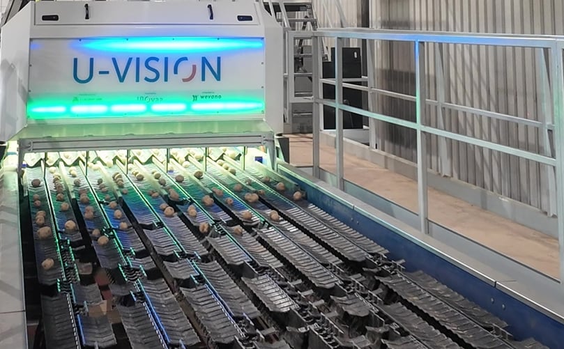 U-Vision Optical Potato Grader U-Vision Optical Potato Grader