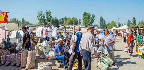 Uzbekistan will allow tax-free import of potatoes until 2019