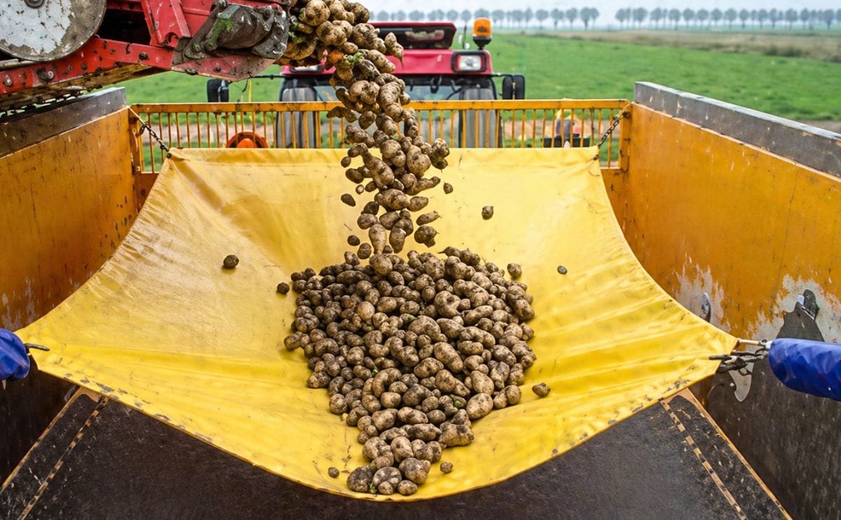 Agrico roept transporteurs aardappelen op valbreker te gebruiken