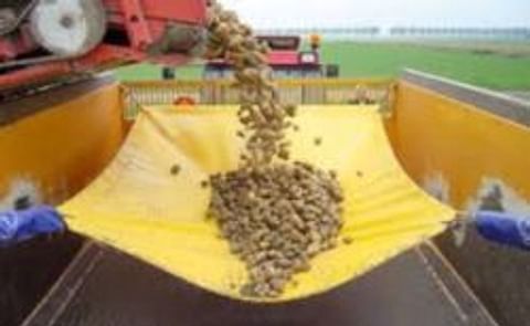 Agrico roept transporteurs aardappelen op valbreker te gebruiken Agrico roept transporteurs aardappelen op valbreker te gebruiken