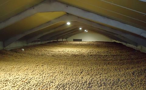 Agriculture company Vandamme opts for a quality boost with new cooling Agriculture company Vandamme opts for a quality boost with new cooling