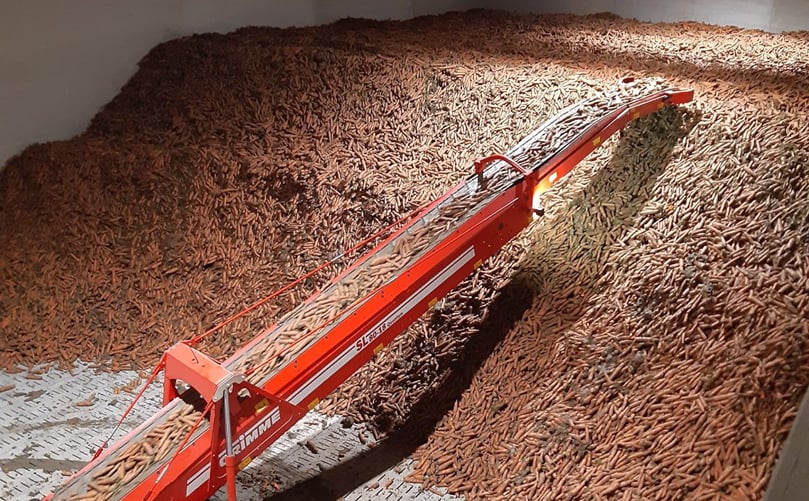 In 2020 a new double shed was built for the storage of winter carrots. In 2020 a new double shed was built for the storage of winter carrots.