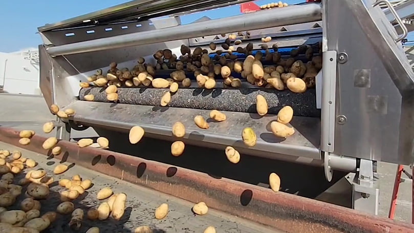 Vanmark Vine Remover Machine in proccess Vanmark Vine Remover Machine in proccess