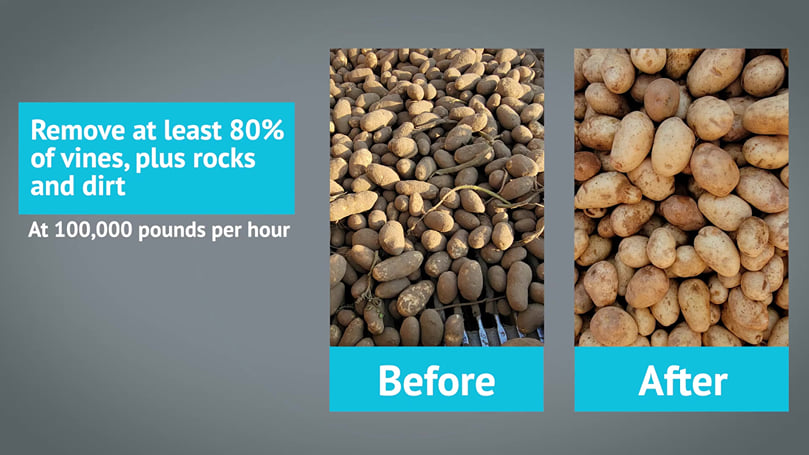 Vanmark Vine Remover results Vanmark Vine Remover results