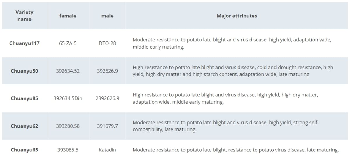 Varieties released by CRI. All numbered parents are from CIP. Katadin is from the USA.
Varieties released by CRI. All numbered parents are from CIP. Katadin is from the USA.
