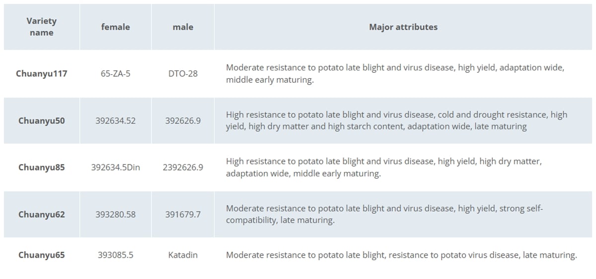 Varieties released by CRI. All numbered parents are from CIP. Katadin is from the USA.
Varieties released by CRI. All numbered parents are from CIP. Katadin is from the USA.
