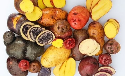 Ecuador: IX Congreso Ecuatoriano de la papa virtual en Junio Ecuador: IX Congreso Ecuatoriano de la papa virtual en Junio