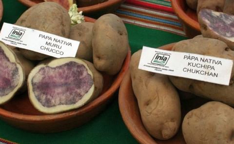 Se busca socializar iniciativas para fortalecer ciclo de producción de cadena de valor en ambos territorios. Se busca socializar iniciativas para fortalecer ciclo de producción de cadena de valor en ambos territorios.