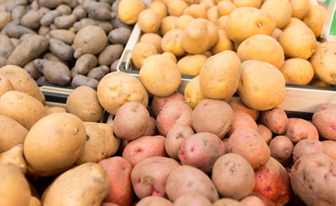 Variety of potatoes Variety of potatoes