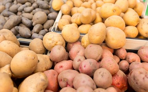 Variety of potatoes