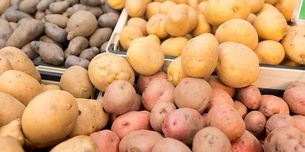 Potato Prices Spike Again in Bangladesh As Reports of Crop Damage Due to Cyclone Michaung Pour In