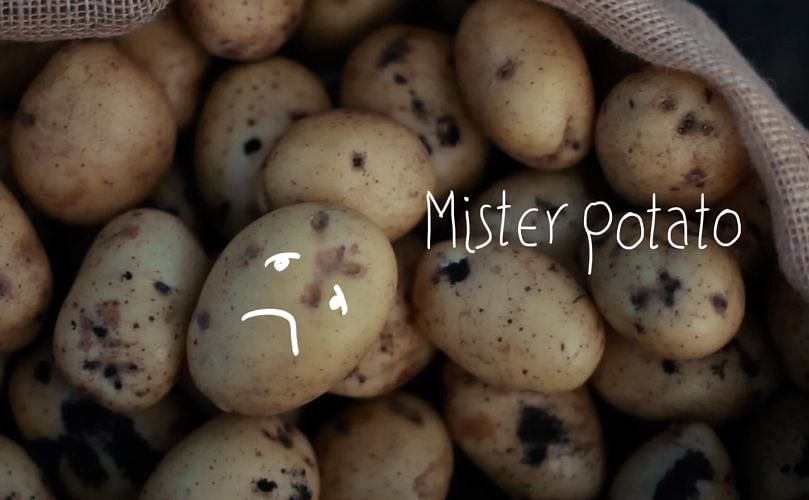 Mr. Potato (VDH concept commercial message)