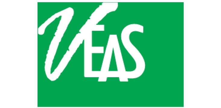 Minh Vi Exhibition & Advertisement Services Co., Ltd. (VEAS)