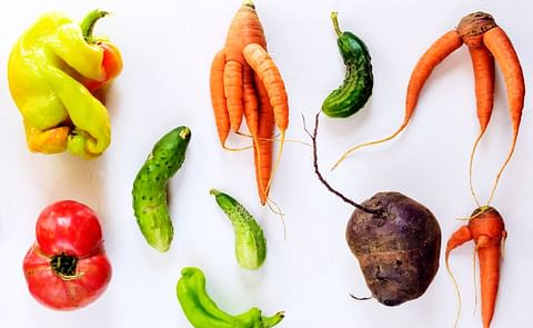 The solutions provided by sorting technologies are more necessary now than ever before.
The solutions provided by sorting technologies are more necessary now than ever before.