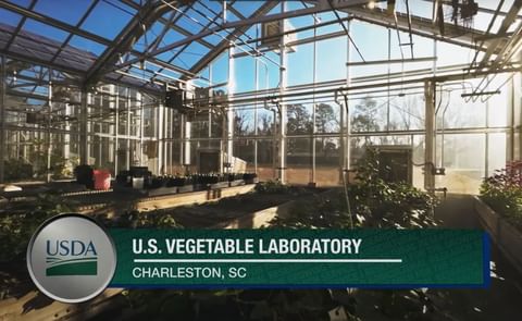 USDA Vegetable Laboratory USDA Vegetable Laboratory