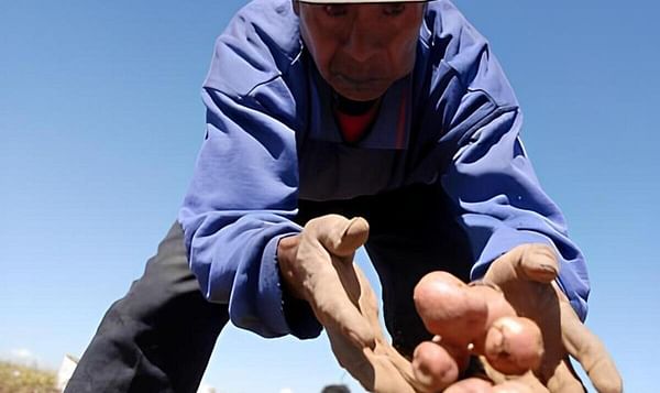 Agricultores venezolanos piden aplazar la Ley de Semillas porque los perjudica