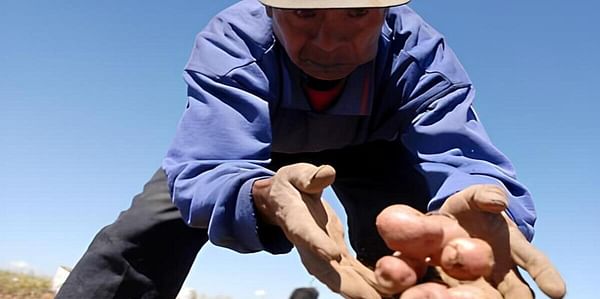 Agricultores venezolanos piden aplazar la Ley de Semillas porque los perjudica