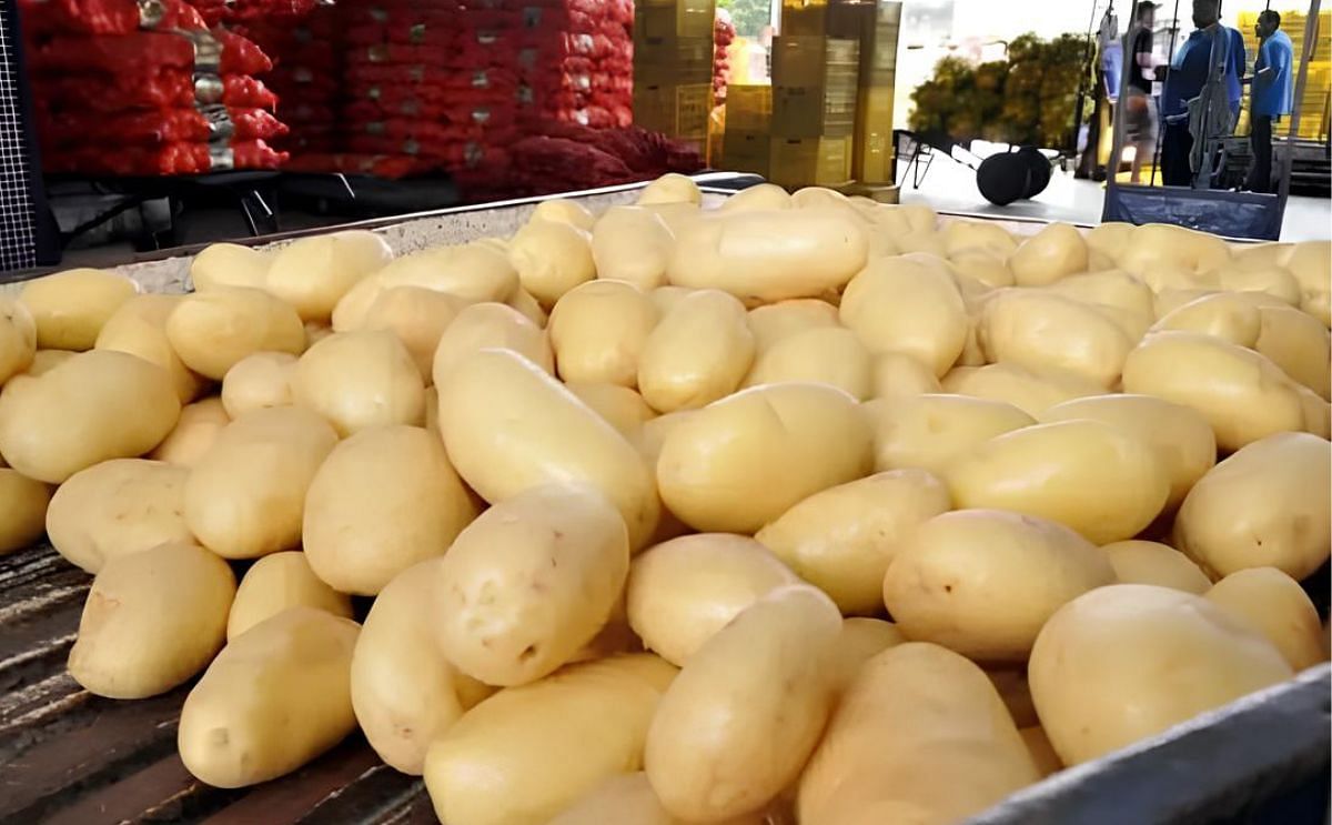 Venezuela: Agroindustria pagará 185% más por el kilo de papa Venezuela: Agroindustria pagará 185% más por el kilo de papa