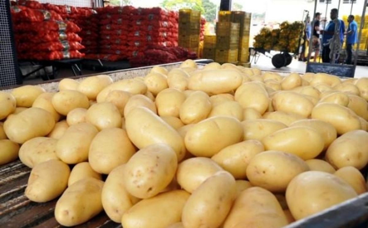 Venezuela: The price of potatoes for processing increases by 185%