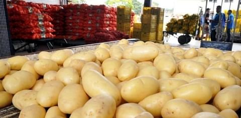 Venezuela: The price of potatoes for processing increases by 185%