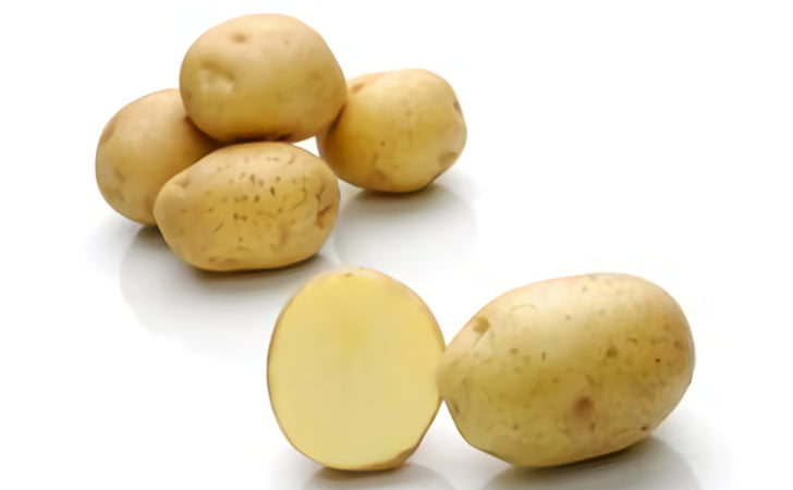 Verdi Verdi