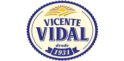 Vicente Vidal