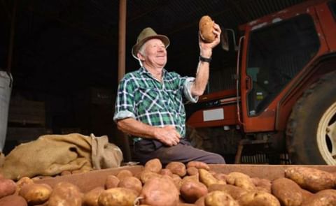 For almost 50 years, Bernie White has grown potatoes in the rich, red, volcanic soil of Trentham, Victoria, Australia For almost 50 years, Bernie White has grown potatoes in the rich, red, volcanic soil of Trentham, Victoria, Australia