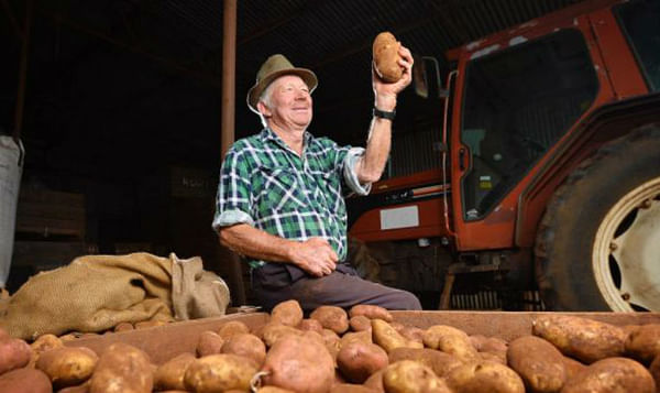 Is there a future for potato farming in the traditional potato patch of Victoria?