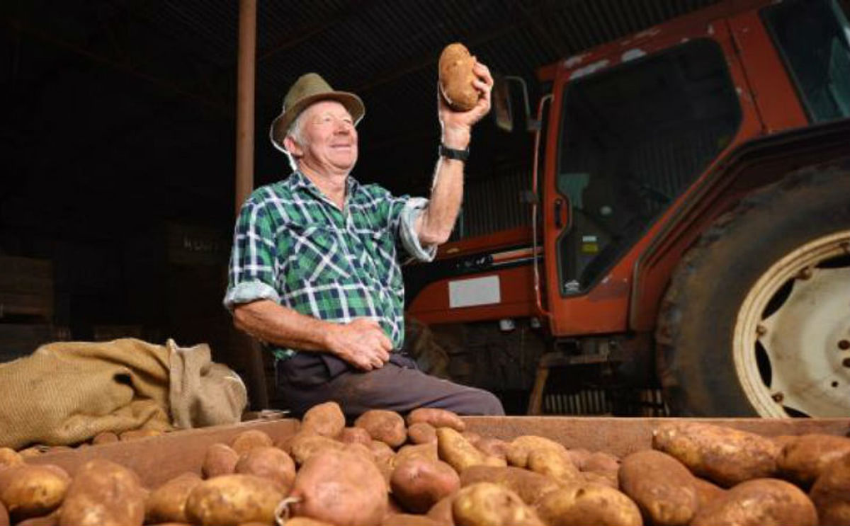 For almost 50 years, Bernie White has grown potatoes in the rich, red, volcanic soil of Trentham, Victoria, Australia