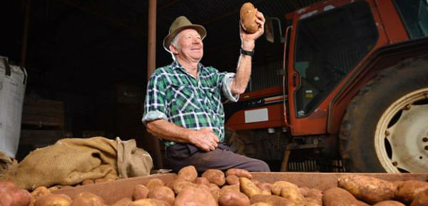 Is there a future for potato farming in the traditional potato patch of Victoria?
