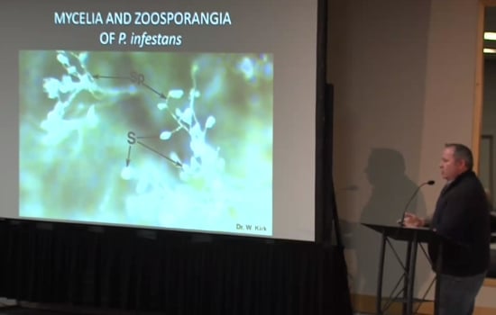Presentation by Michael Harding