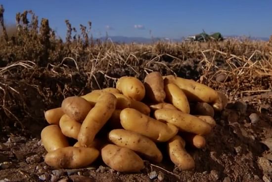 Rockey Farms, Center, Co, wins 2014 NPC Environmental Stewardship Award