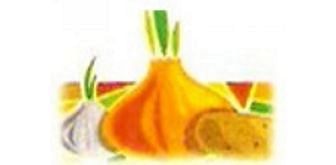 Vighnahar Agro Export