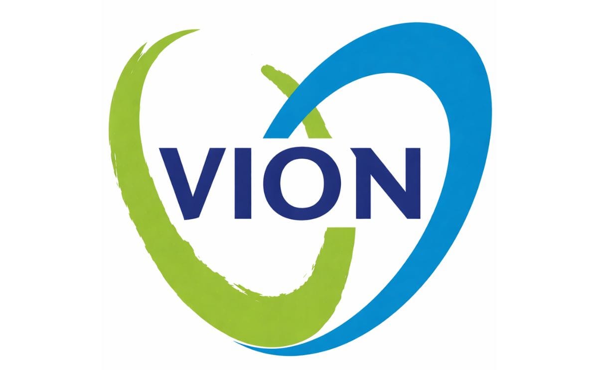 VION VION