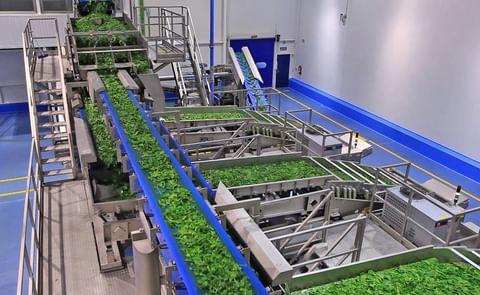 Virto Group facility Virto Group facility