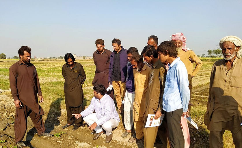  Farmers visit the demonstration plots at Okara for ware potato crop to learn about best practices to maximise yields 
